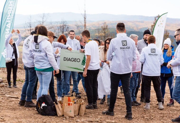 Volunteers from the Maliqi group planted about 2,000 indigenous seedlings in Berovo